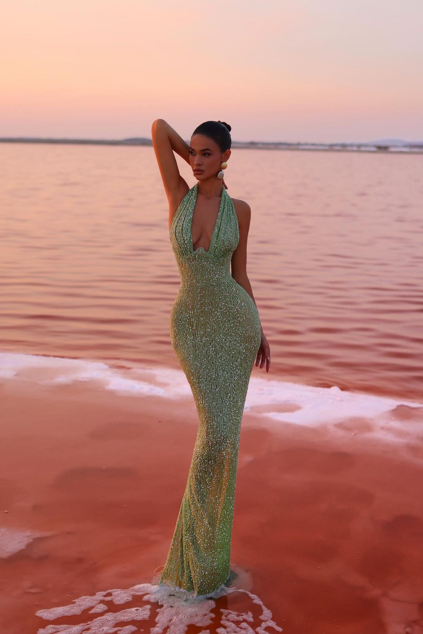 Zaira Erener Elbisesi