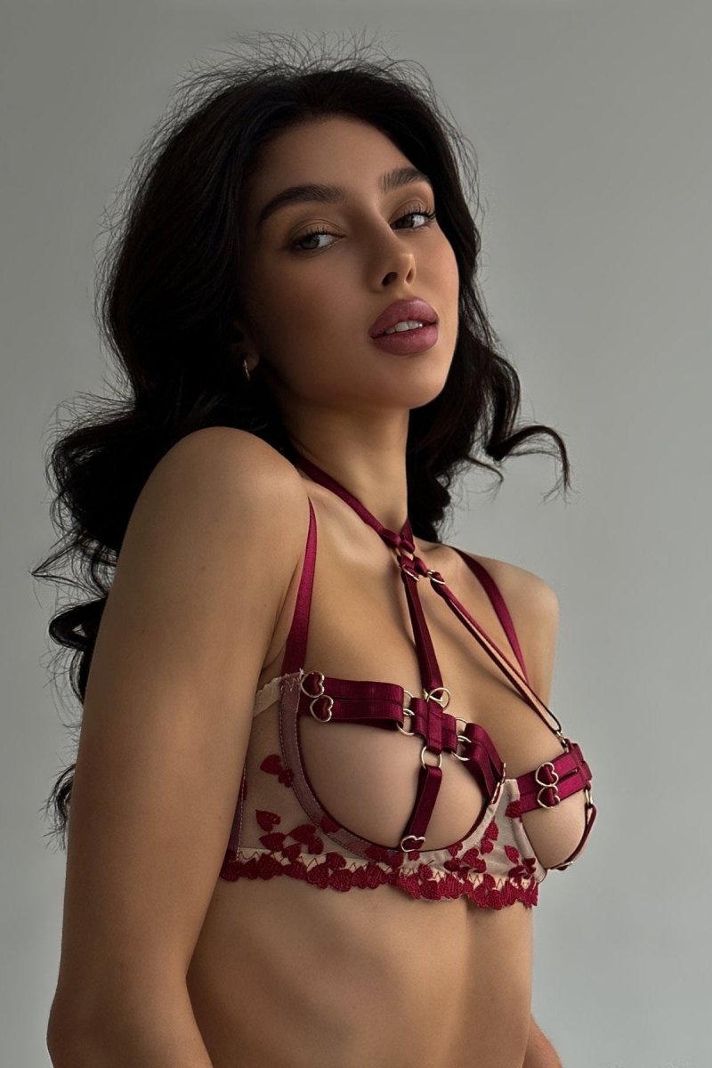 Shewess™ 4 Parça Lingerie Takımı + Bacak Halkaları / AURORA